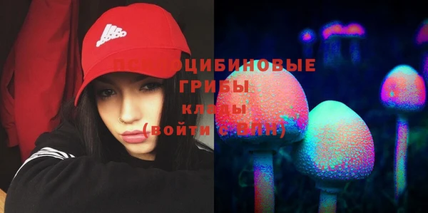 молекула духа Арсеньев