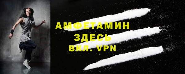 молекула духа Арсеньев