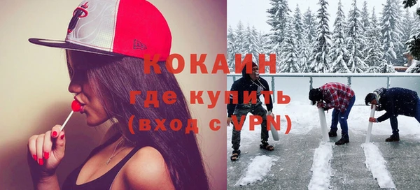 молекула духа Арсеньев