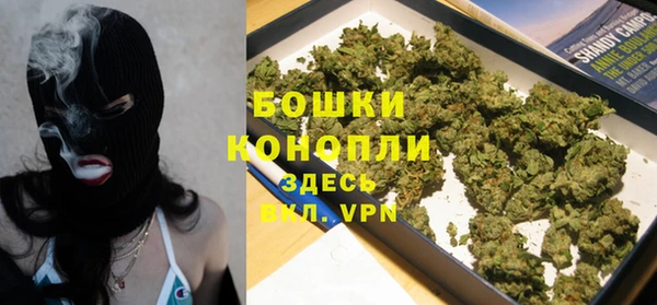 молекула духа Арсеньев