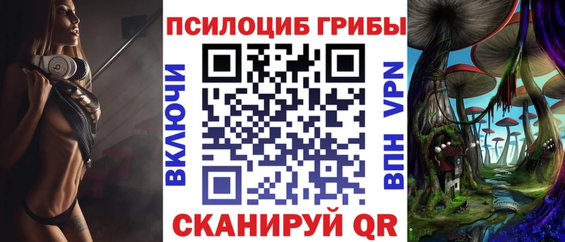 omg как войти  Бавлы  Псилоцибиновые грибы Magic Shrooms 